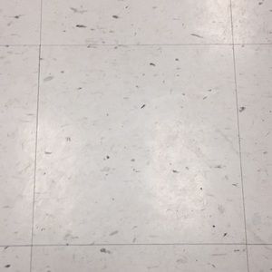 Meet your Posher, Al